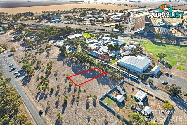 16 Webb Street MURTOA VIC 3390