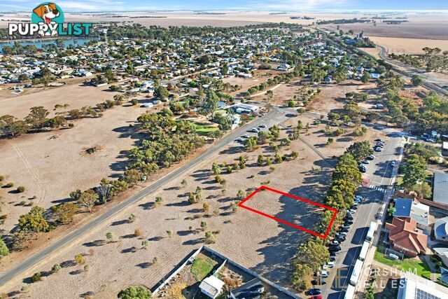 16 Webb Street MURTOA VIC 3390