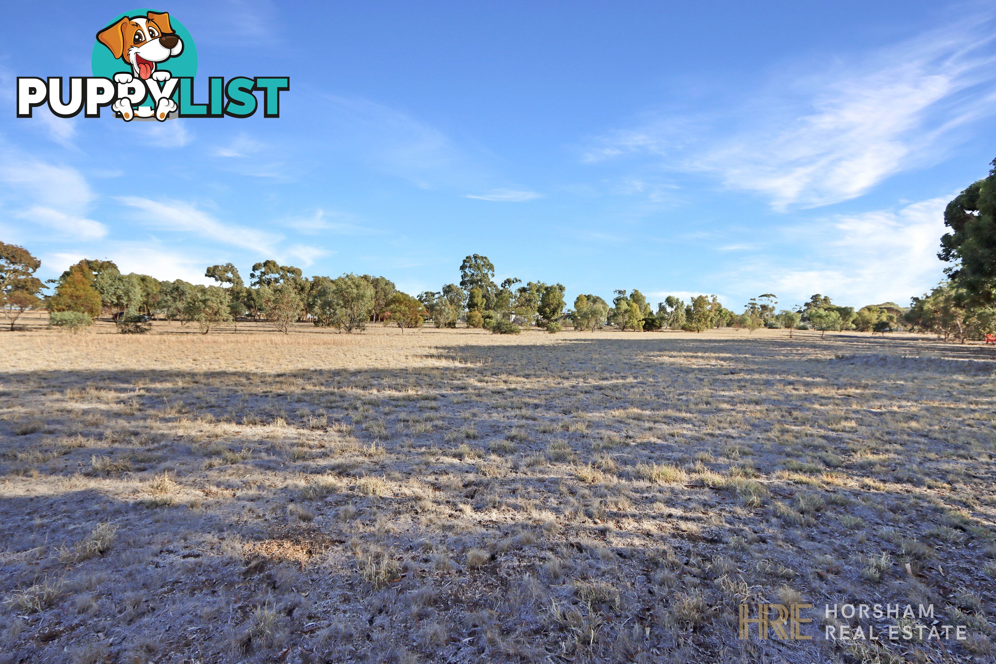 16 Webb Street MURTOA VIC 3390