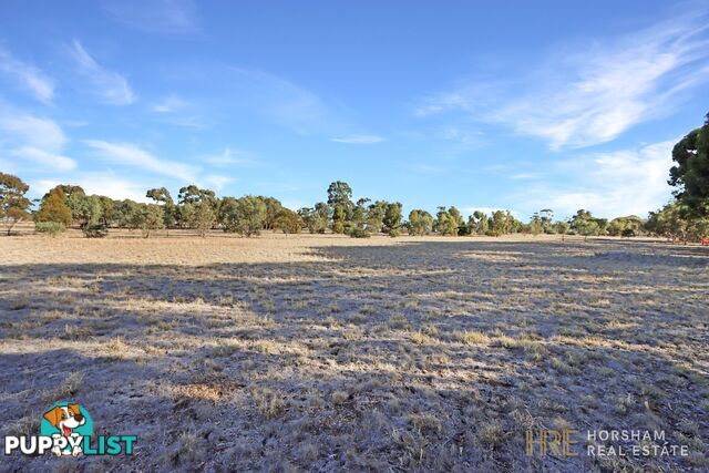 16 Webb Street MURTOA VIC 3390