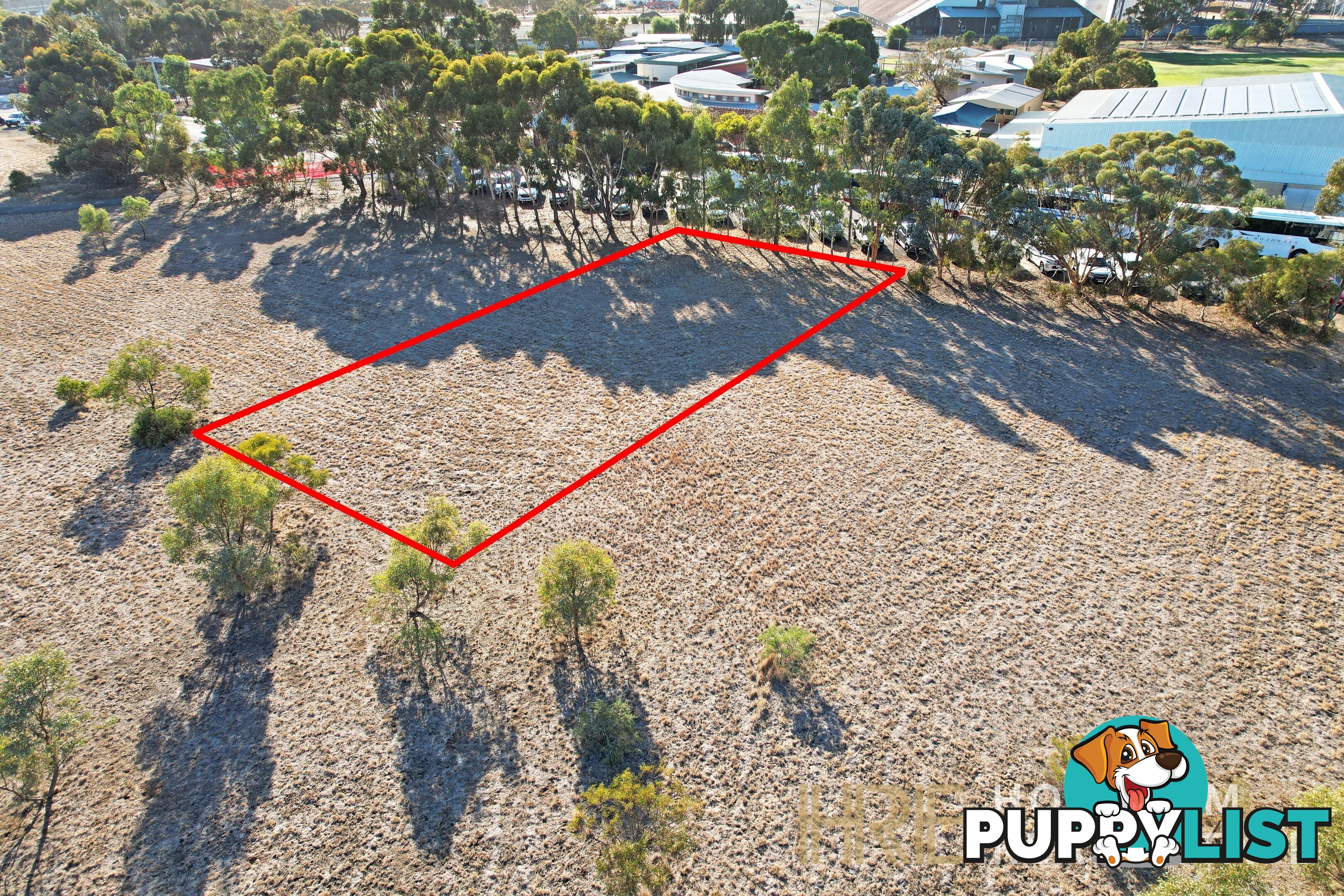 16 Webb Street MURTOA VIC 3390