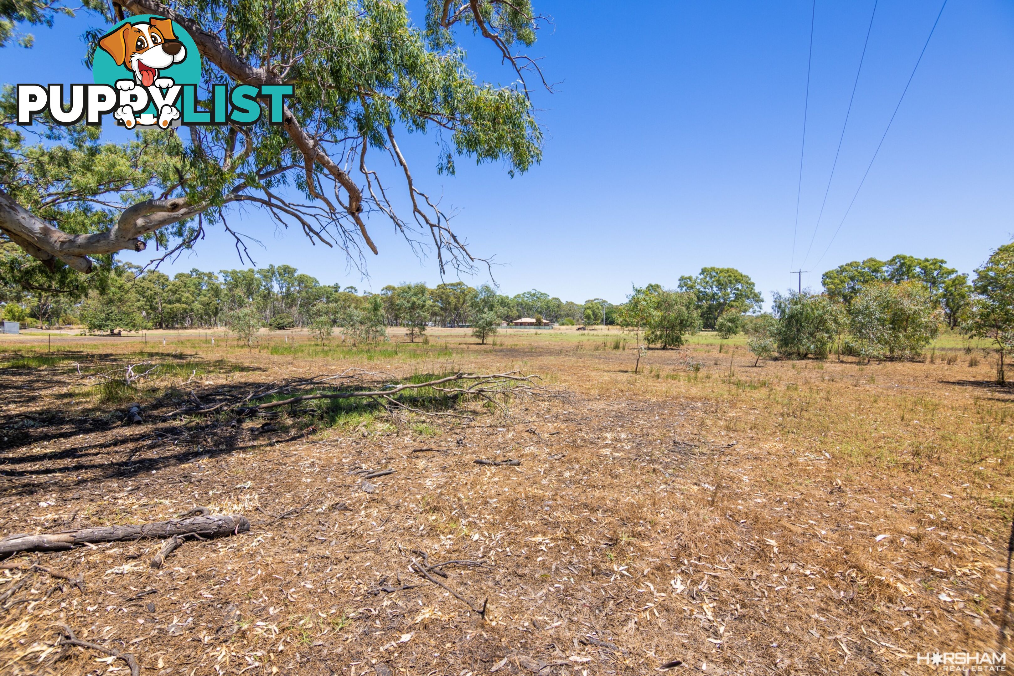 222 Elizabeth Street EDENHOPE VIC 3318