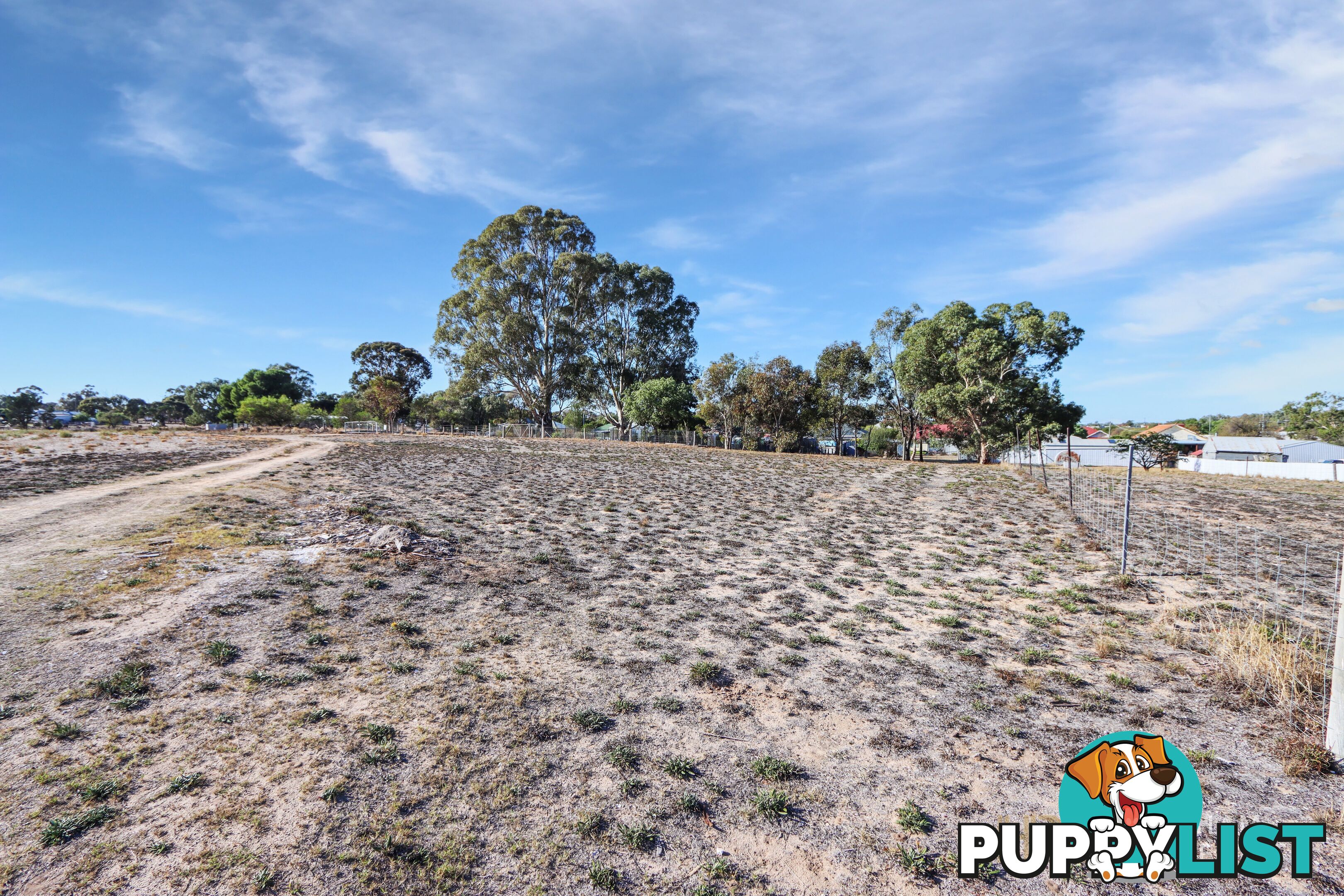 3 Whitton Street DIMBOOLA VIC 3414