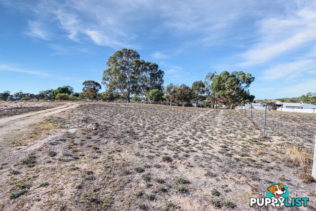 3 Whitton Street DIMBOOLA VIC 3414