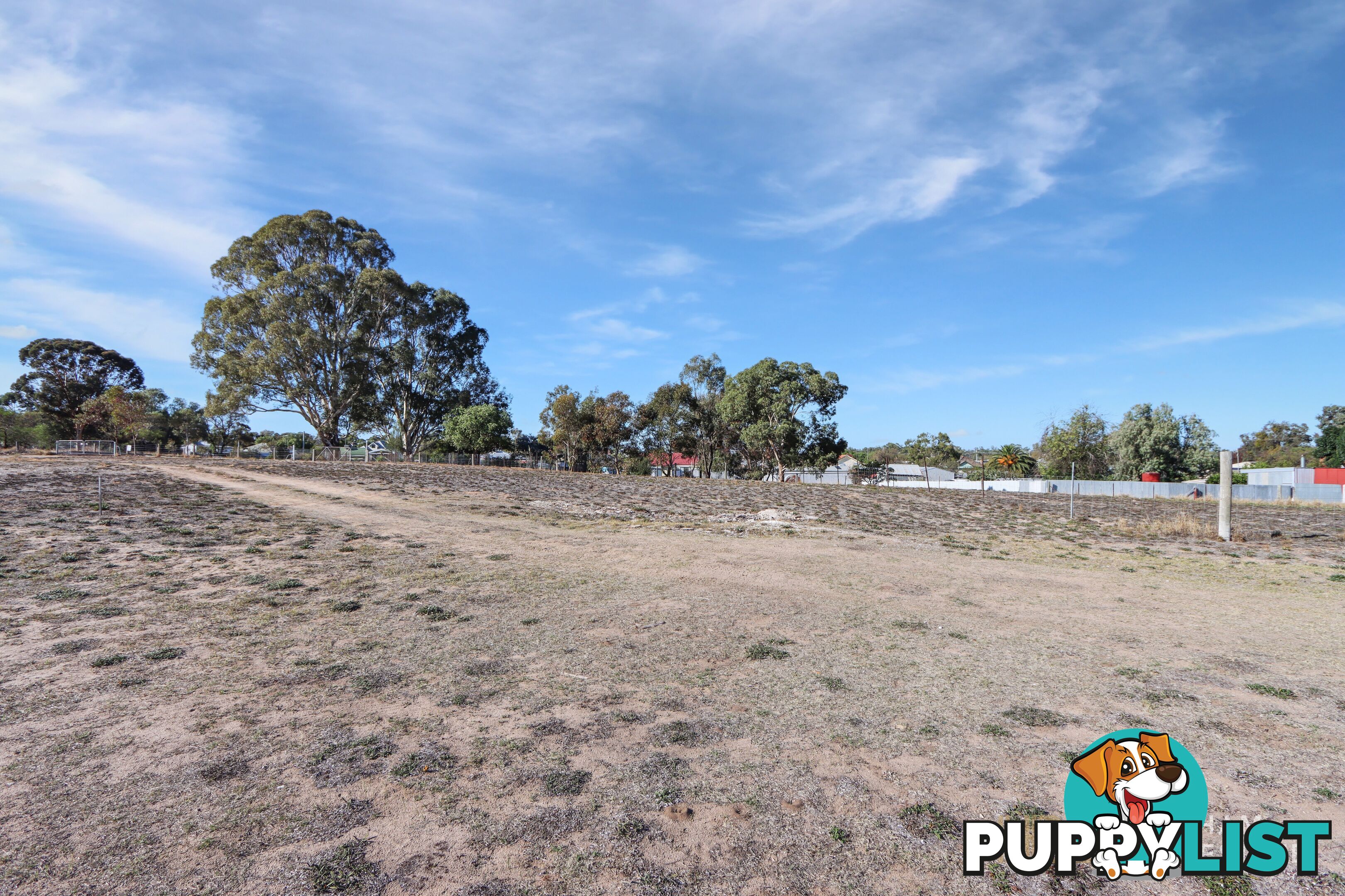 3 Whitton Street DIMBOOLA VIC 3414