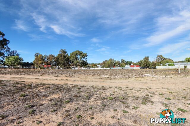 3 Whitton Street DIMBOOLA VIC 3414