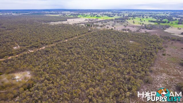 Lot 25 Patricias Road EDENHOPE VIC 3318