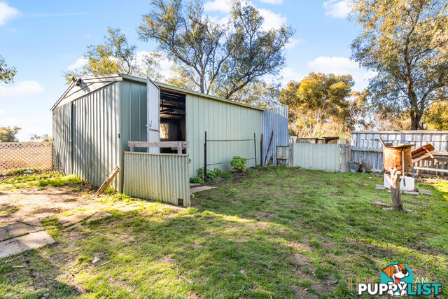 5 Carroll Street MINYIP VIC 3392