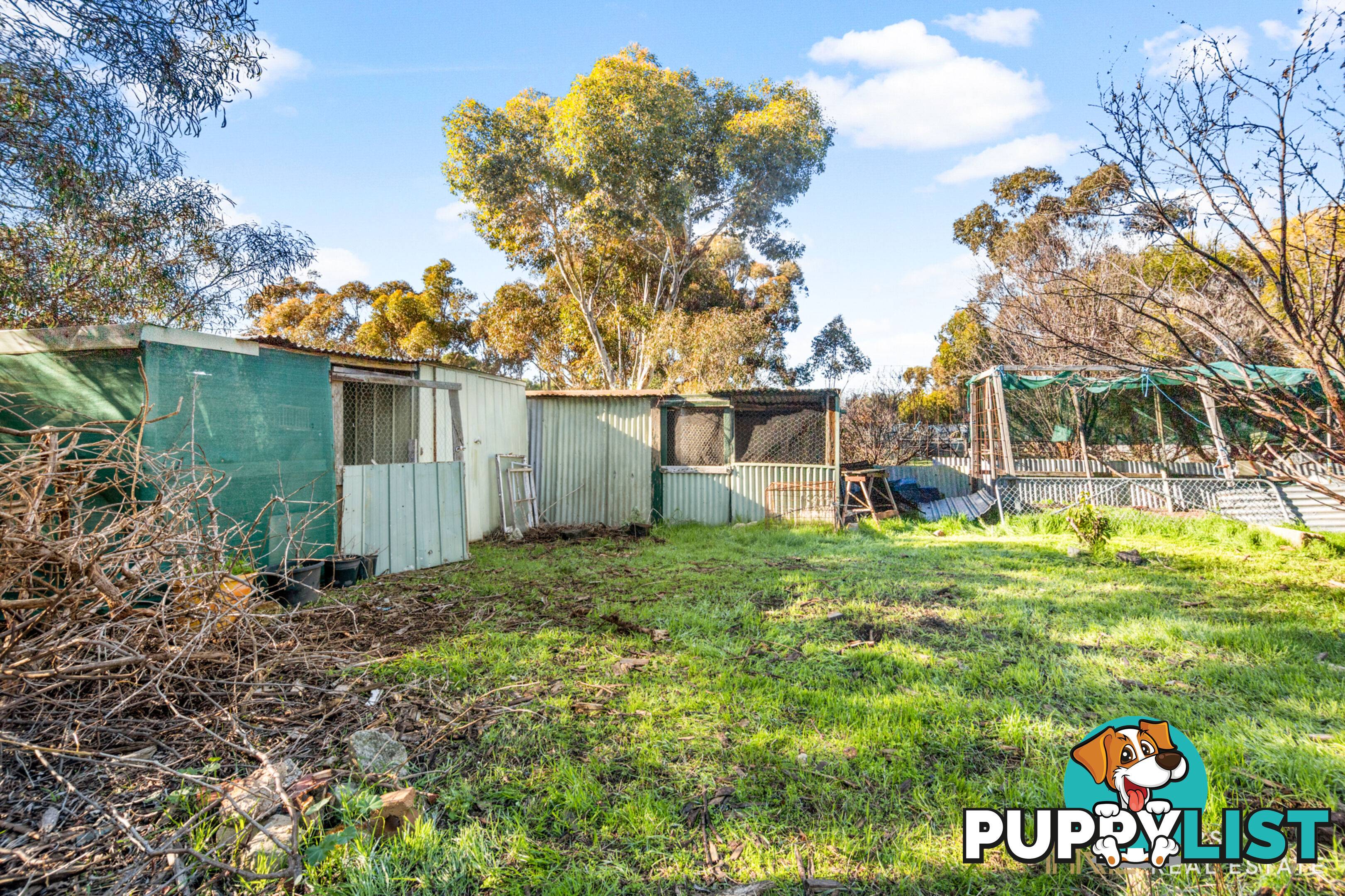 5 Carroll Street MINYIP VIC 3392