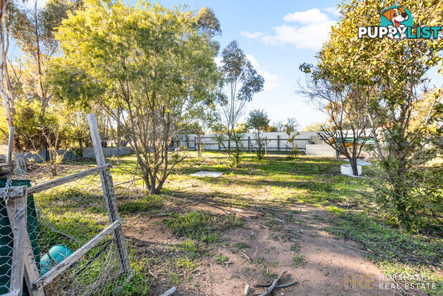 5 Carroll Street MINYIP VIC 3392