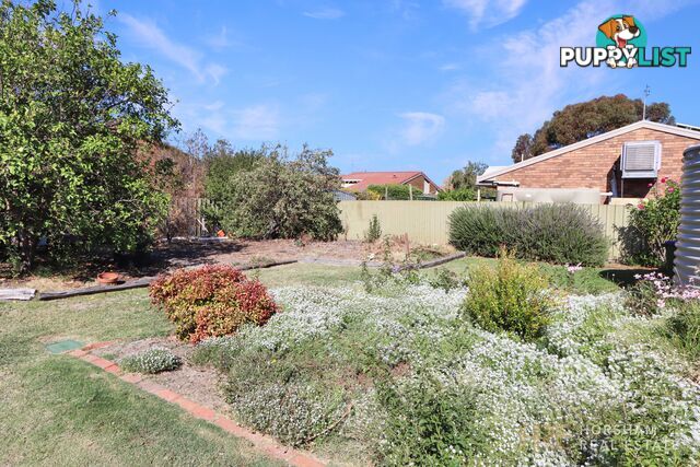 18 James Street HORSHAM VIC 3400