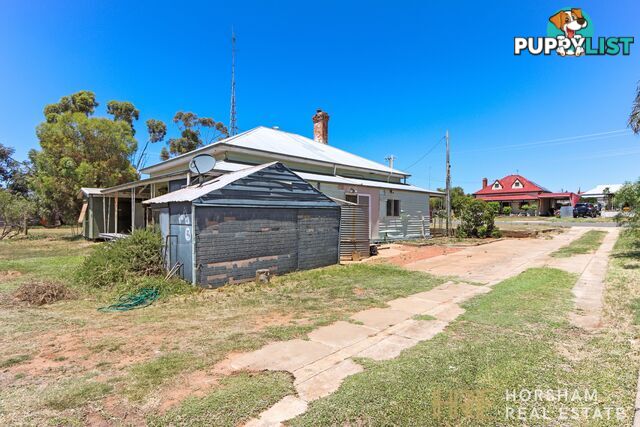 52 Evelyn Street HOPETOUN VIC 3396