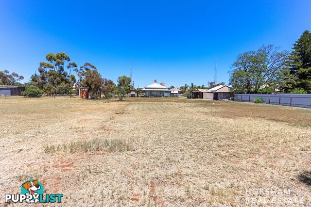 52 Evelyn Street HOPETOUN VIC 3396