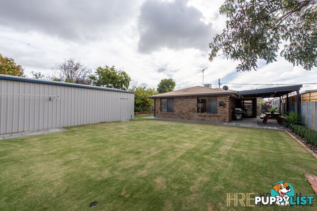 5 Landy Street HORSHAM VIC 3400