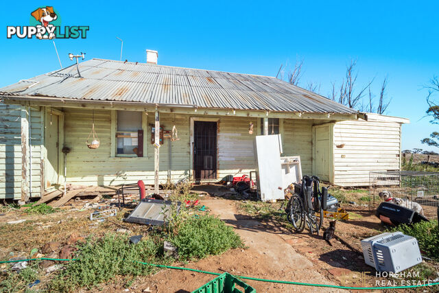 199 Olney Zass Road BERRIWILLOCK VIC 3531