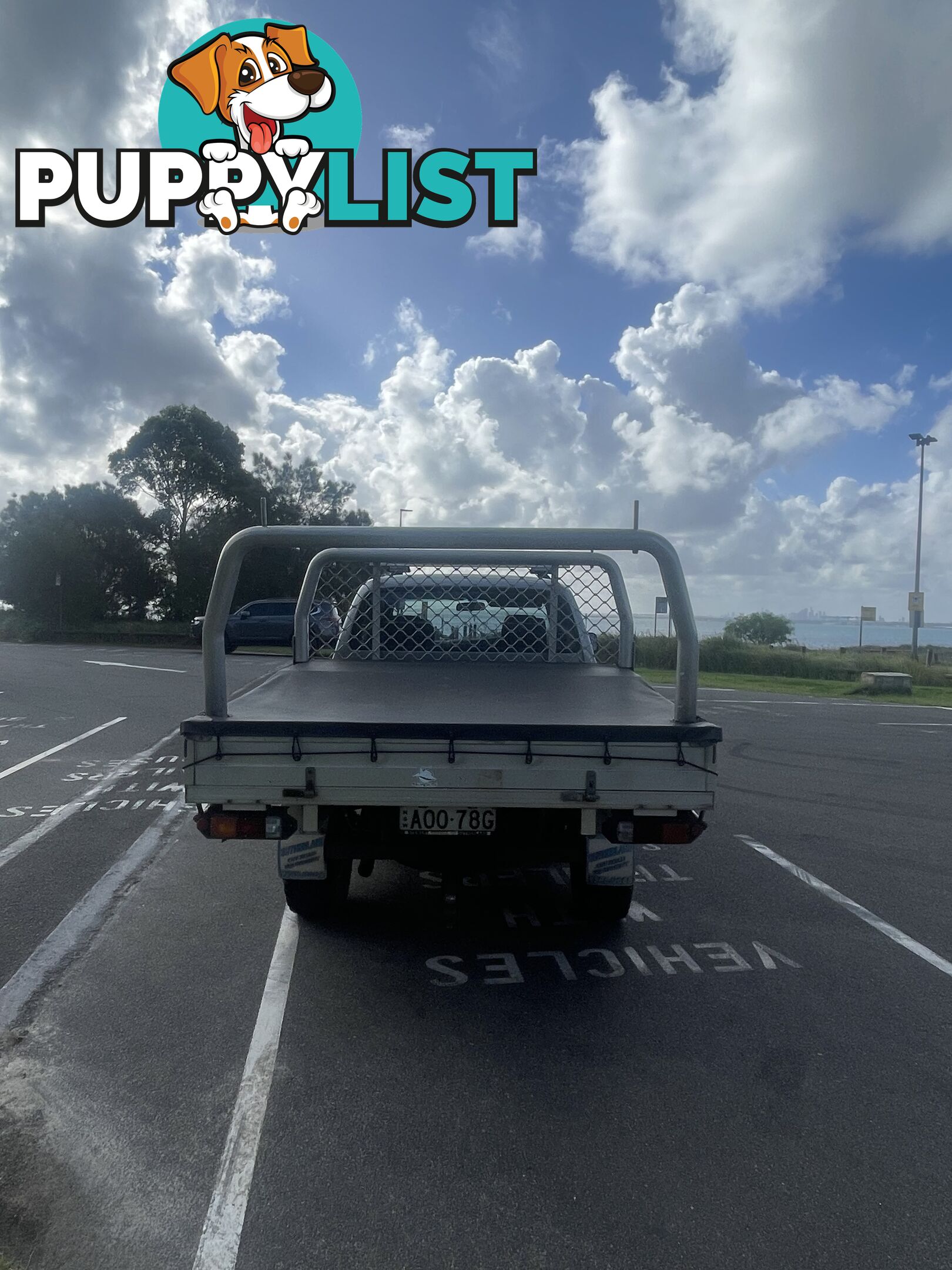 2003 Toyota Hilux MY02 SR5 Ute Manual