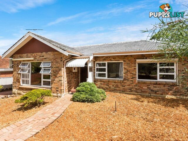 37 Morgan Street Shenton Park WA 6008