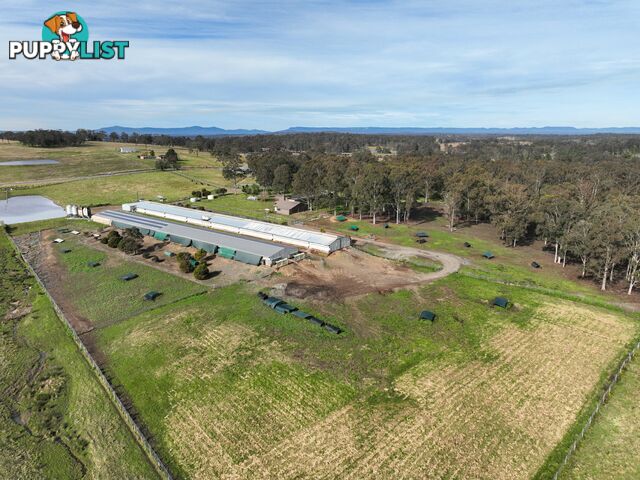 120 Allandale Road ALLANDALE NSW 2320