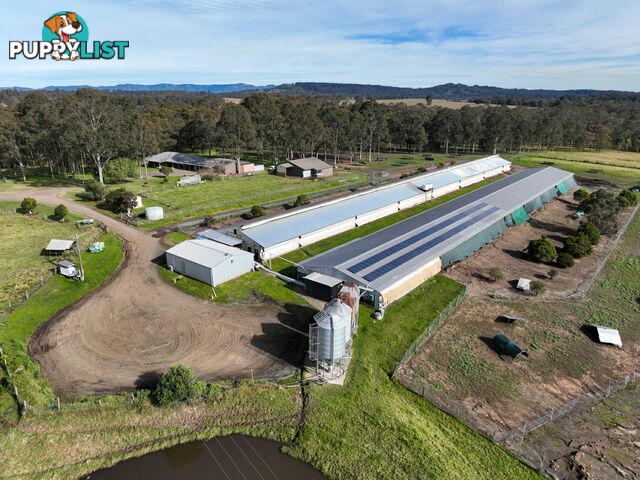 120 Allandale Road ALLANDALE NSW 2320