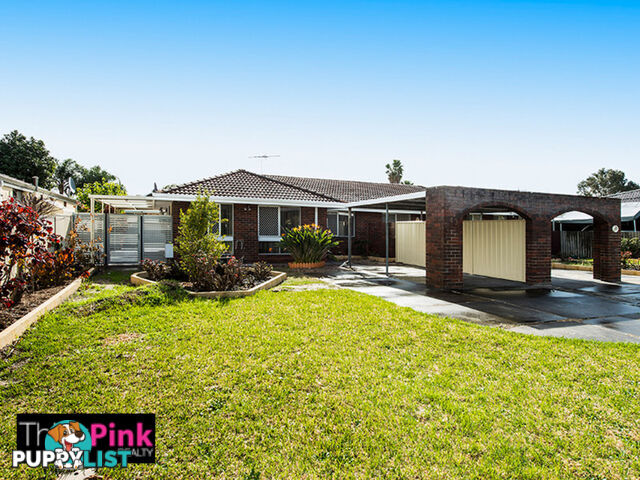 43 Wallace Street BELMONT WA 6104