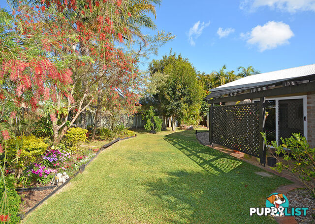 5 Andrea Court KAWUNGAN QLD 4655