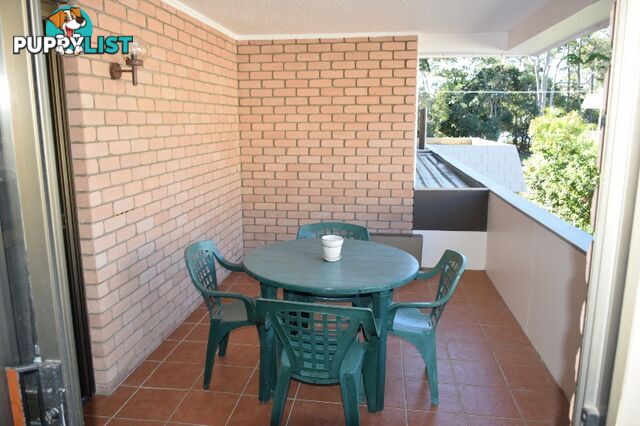 3/479 Esplanade TORQUAY QLD 4655