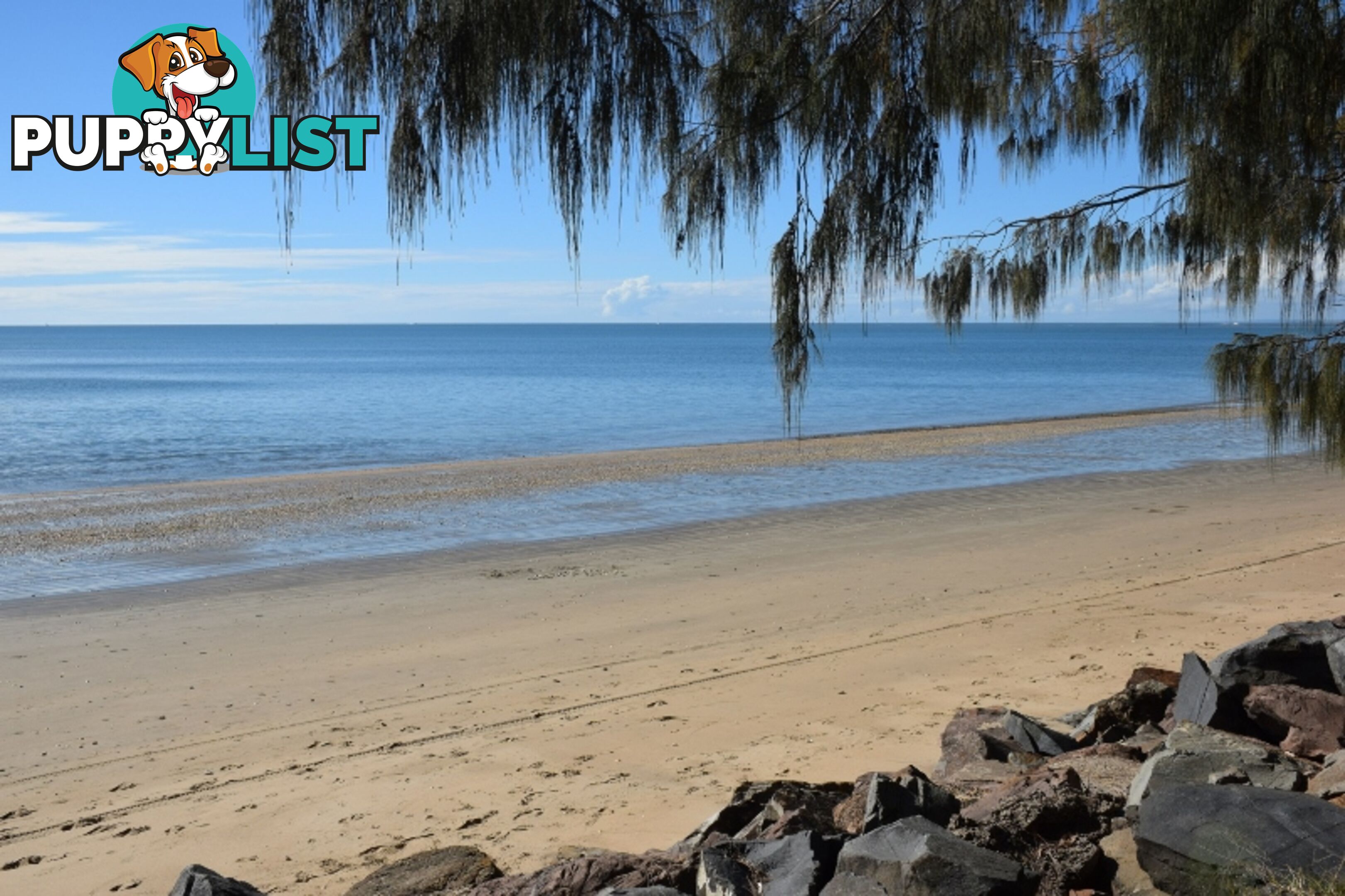 3/479 Esplanade TORQUAY QLD 4655