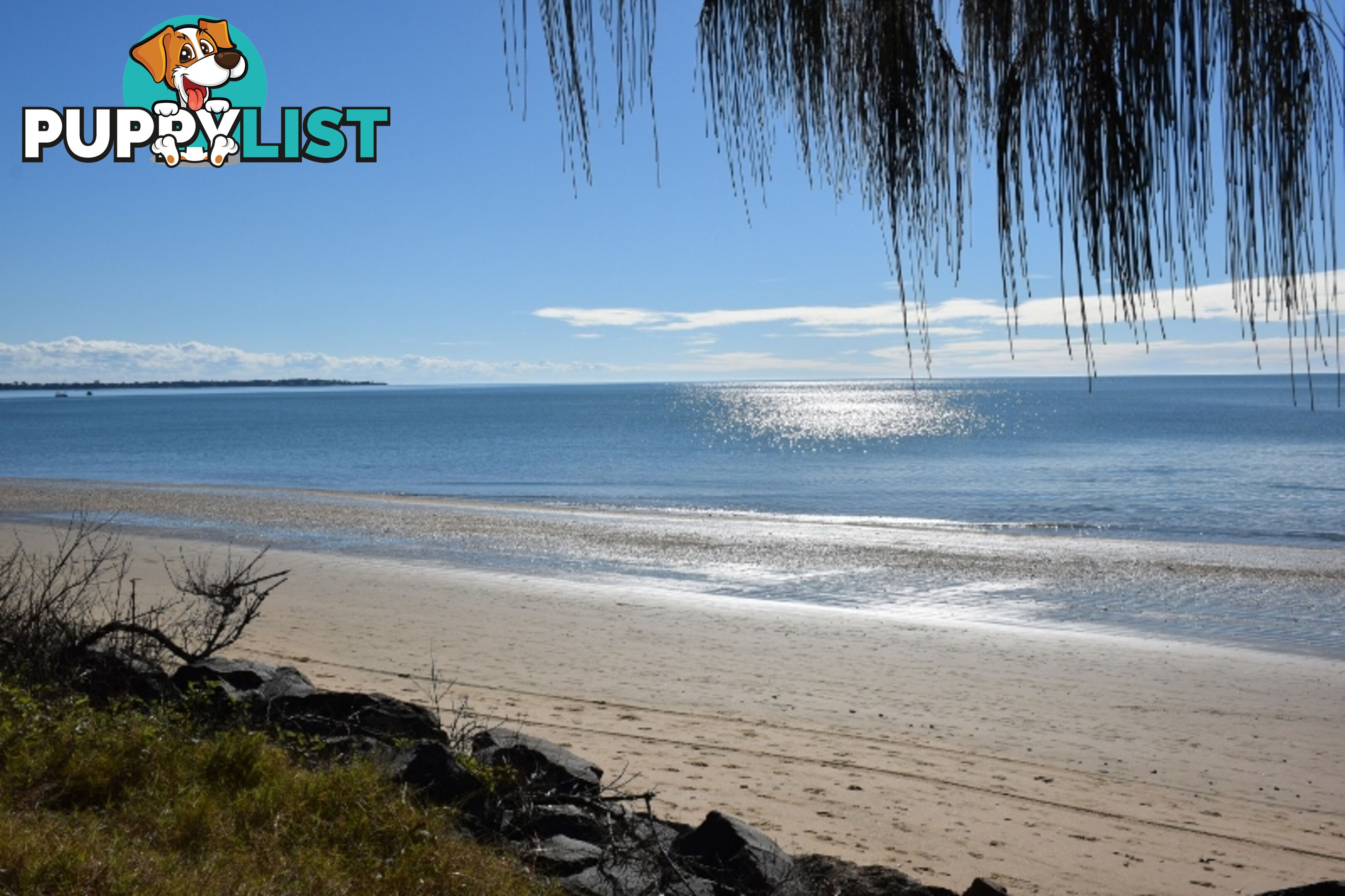 3/479 Esplanade TORQUAY QLD 4655