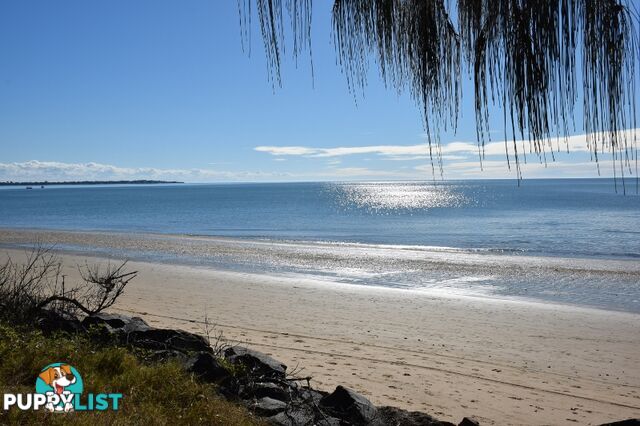 3/479 Esplanade TORQUAY QLD 4655