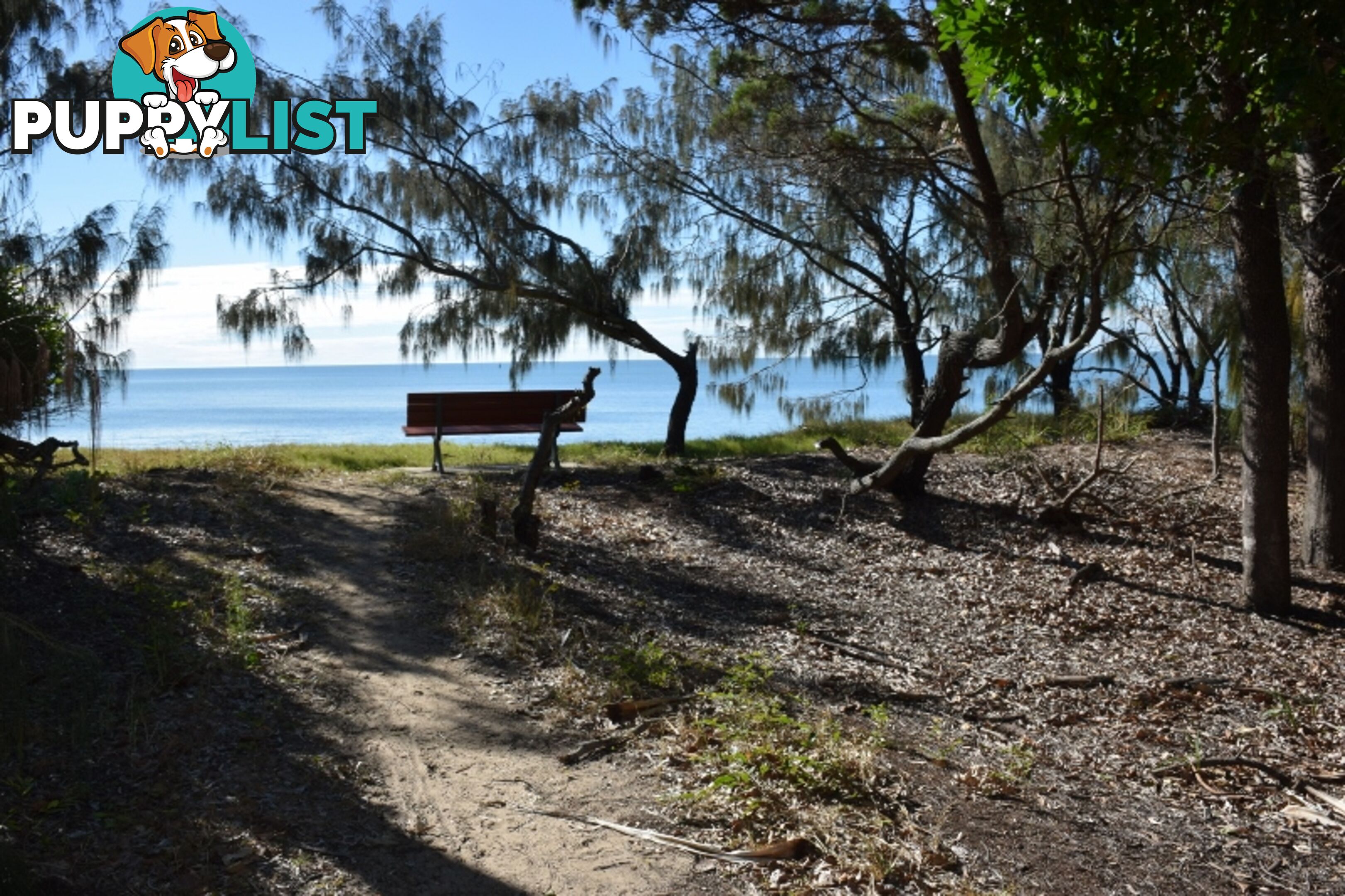 3/479 Esplanade TORQUAY QLD 4655