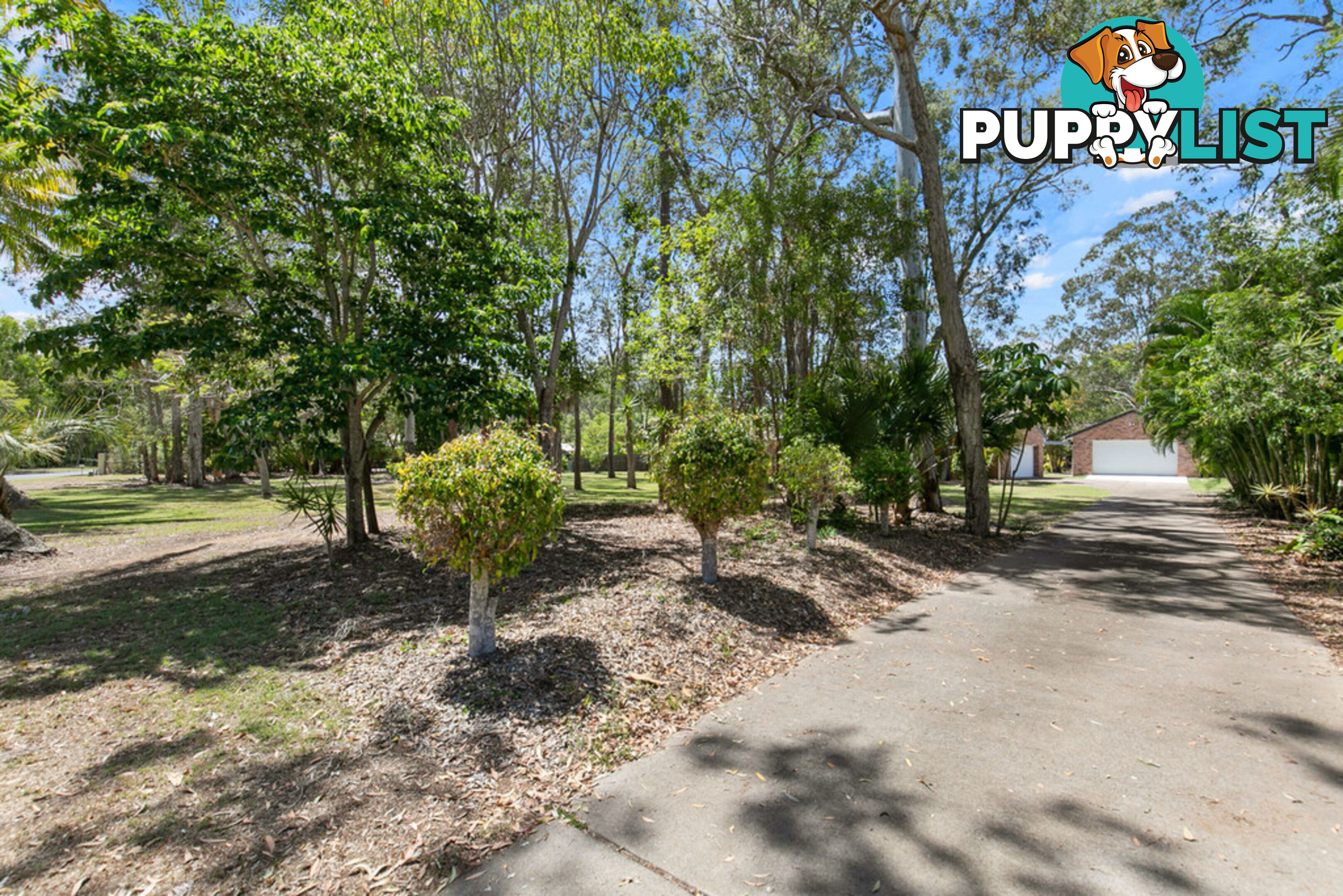 11 Palmwood Drive DUNDOWRAN BEACH QLD 4655