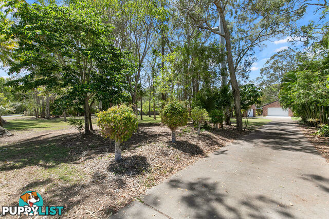 11 Palmwood Drive DUNDOWRAN BEACH QLD 4655