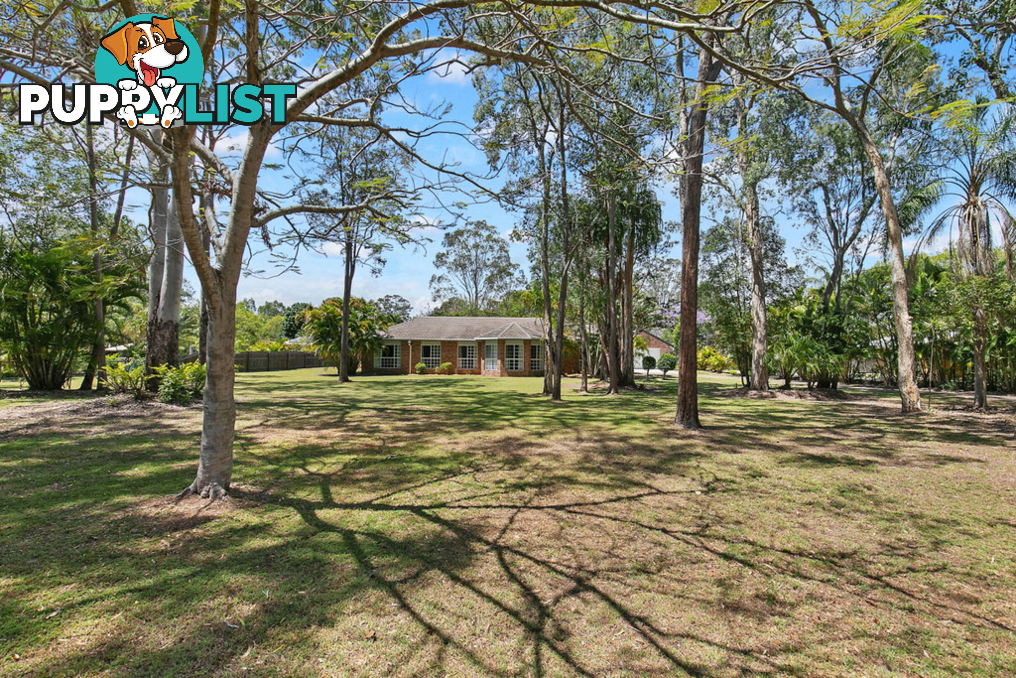 11 Palmwood Drive DUNDOWRAN BEACH QLD 4655