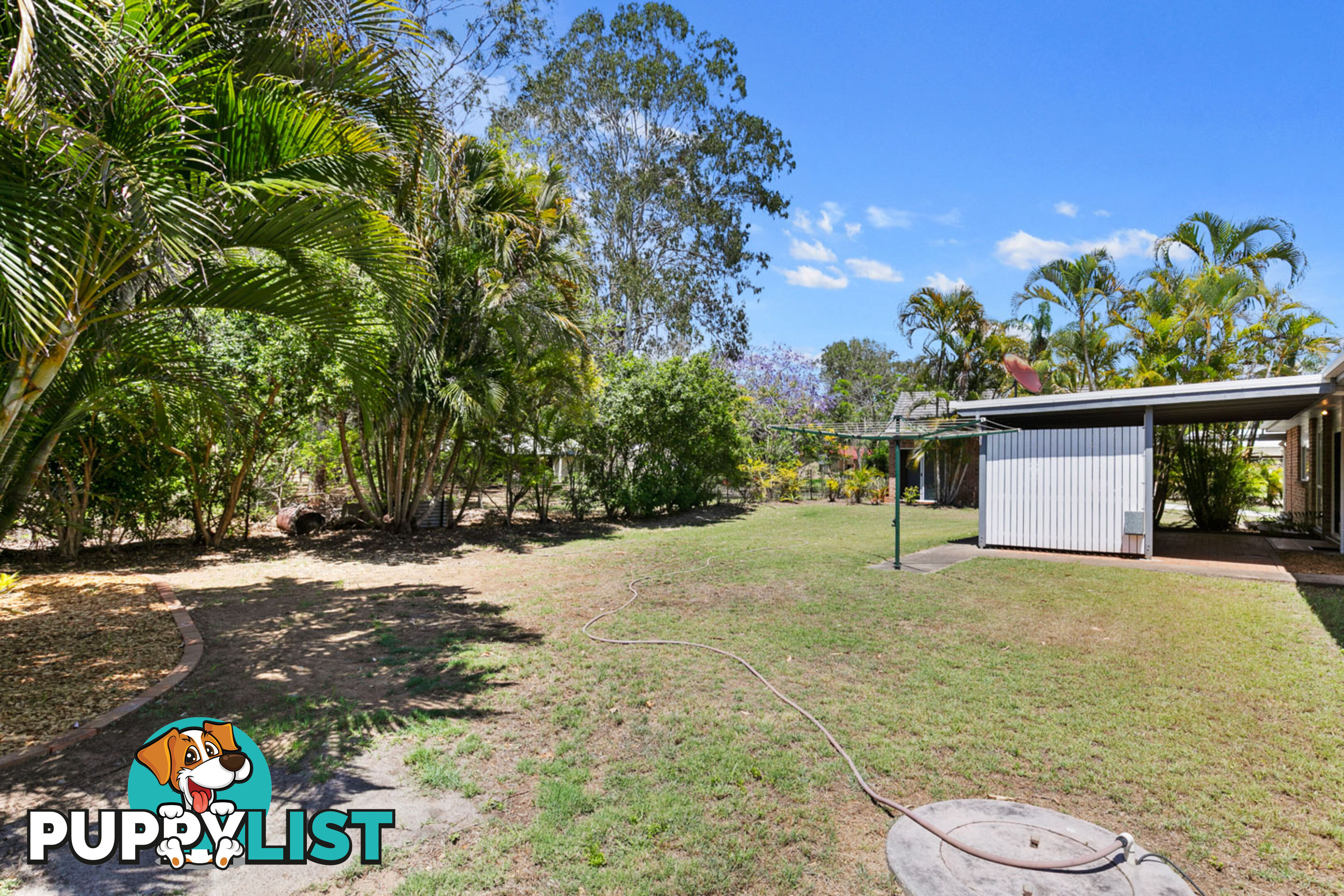 11 Palmwood Drive DUNDOWRAN BEACH QLD 4655