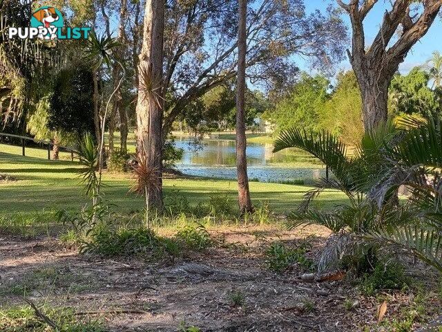 L2 of  1-5 Vine Forest Drive DUNDOWRAN BEACH QLD 4655