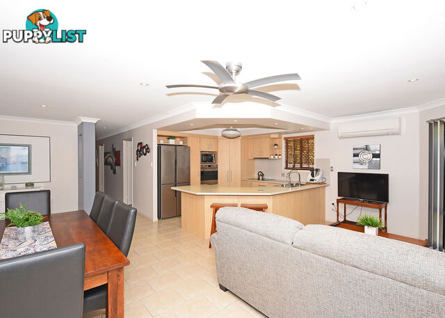 114 Colyton Street TORQUAY QLD 4655