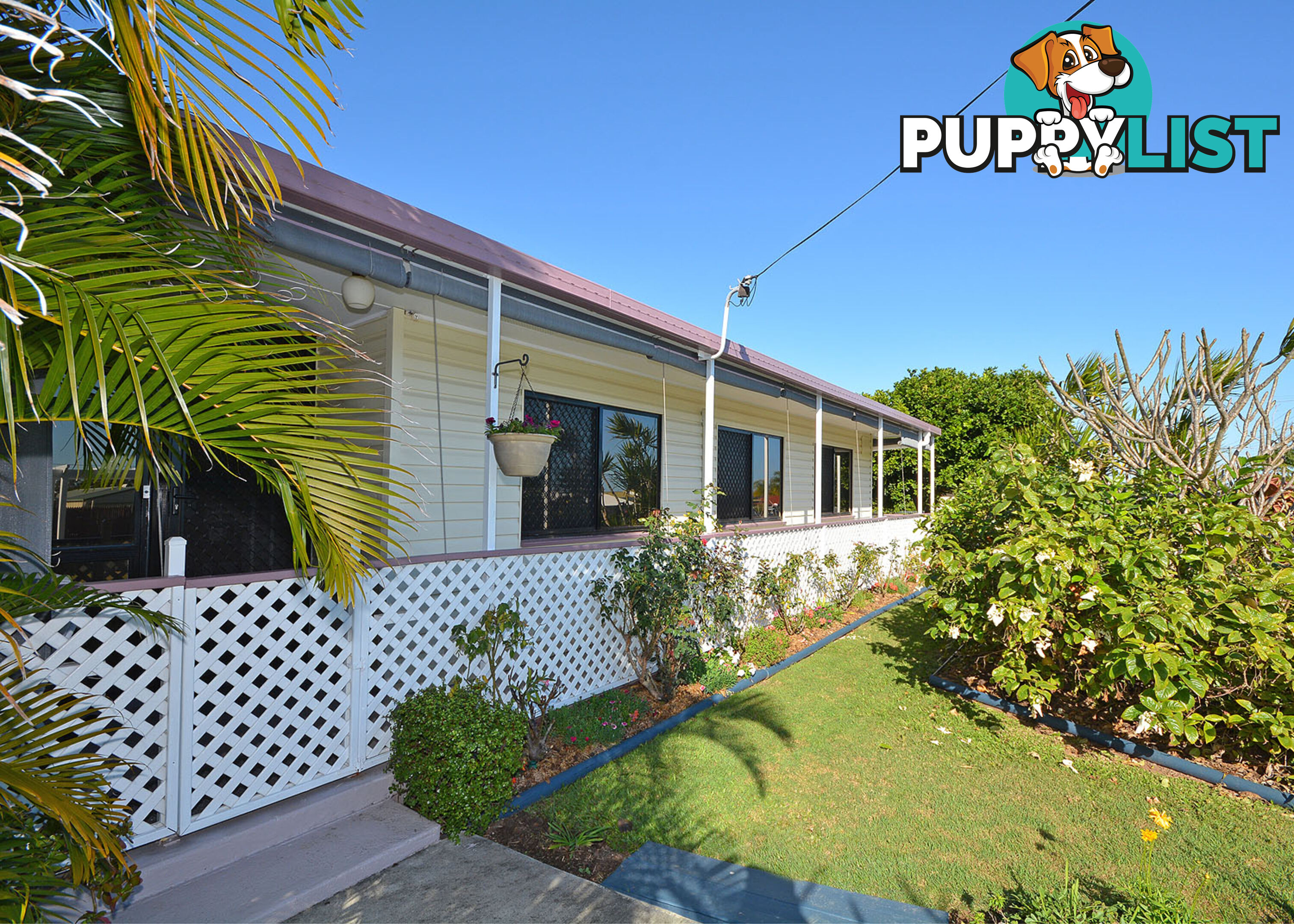 8 Preston Street POINT VERNON QLD 4655