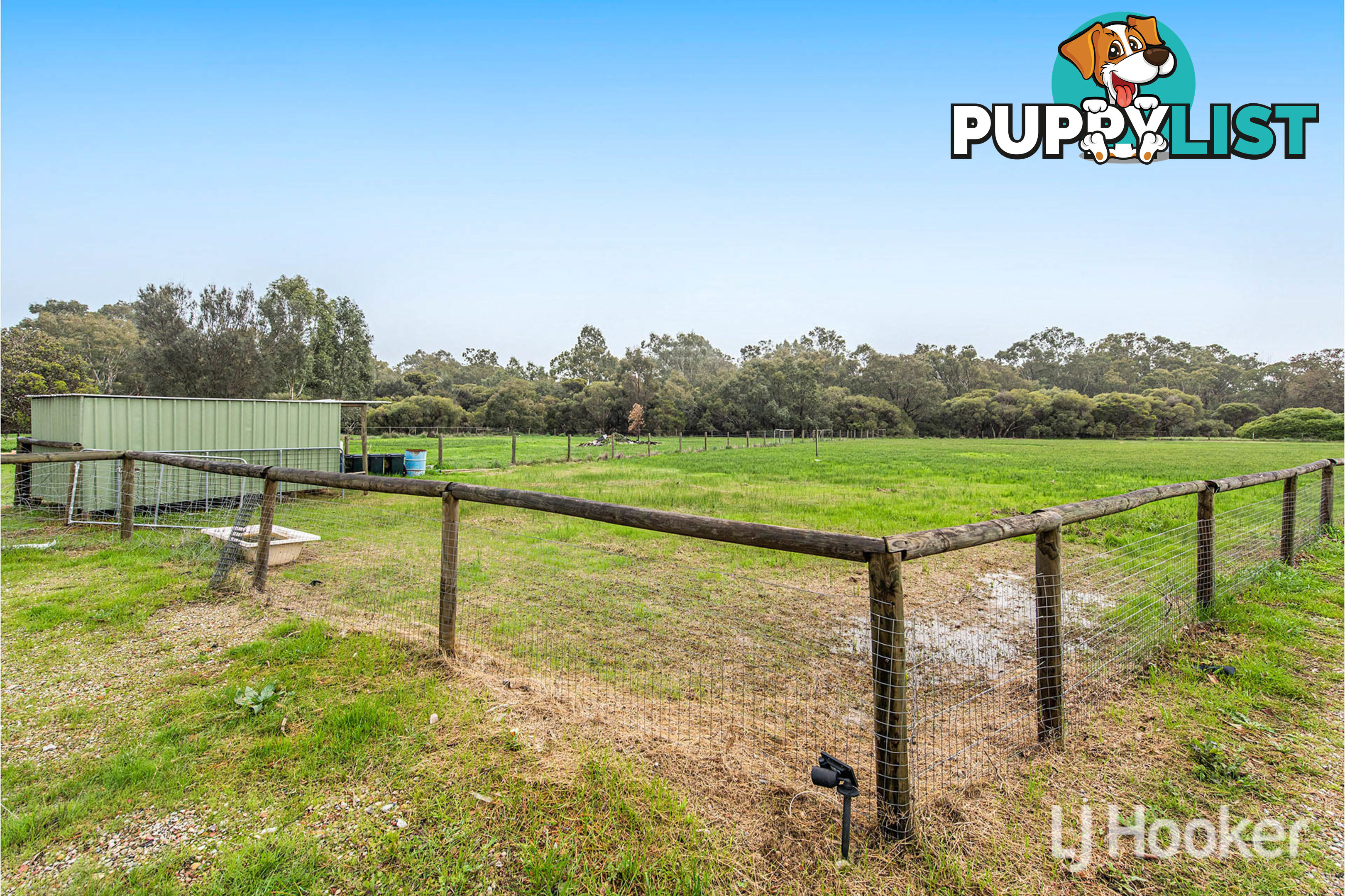5 McNeill Road CHAMPION LAKES WA 6111