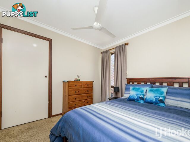 19 Merino Court THORNLIE WA 6108