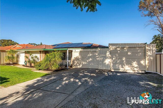 8 Ardross Street SEVILLE GROVE WA 6112