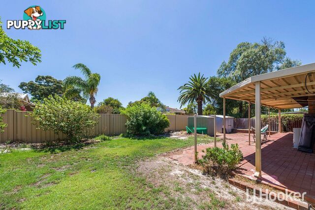 7 Exon Court CAMILLO WA 6111