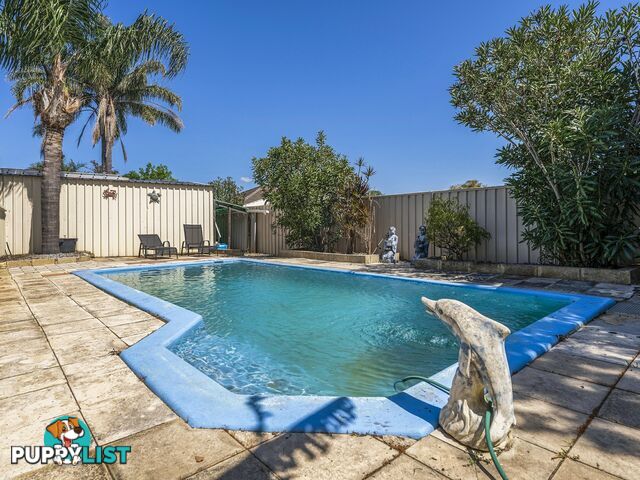 114 Lowanna Way ARMADALE WA 6112