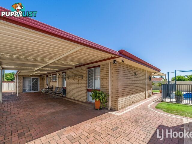 20 Currawong Way THORNLIE WA 6108