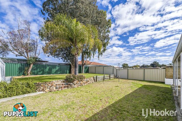 9 Durack Crescent GOSNELLS WA 6110