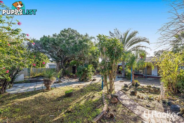 12 Tomlinson Place ARMADALE WA 6112