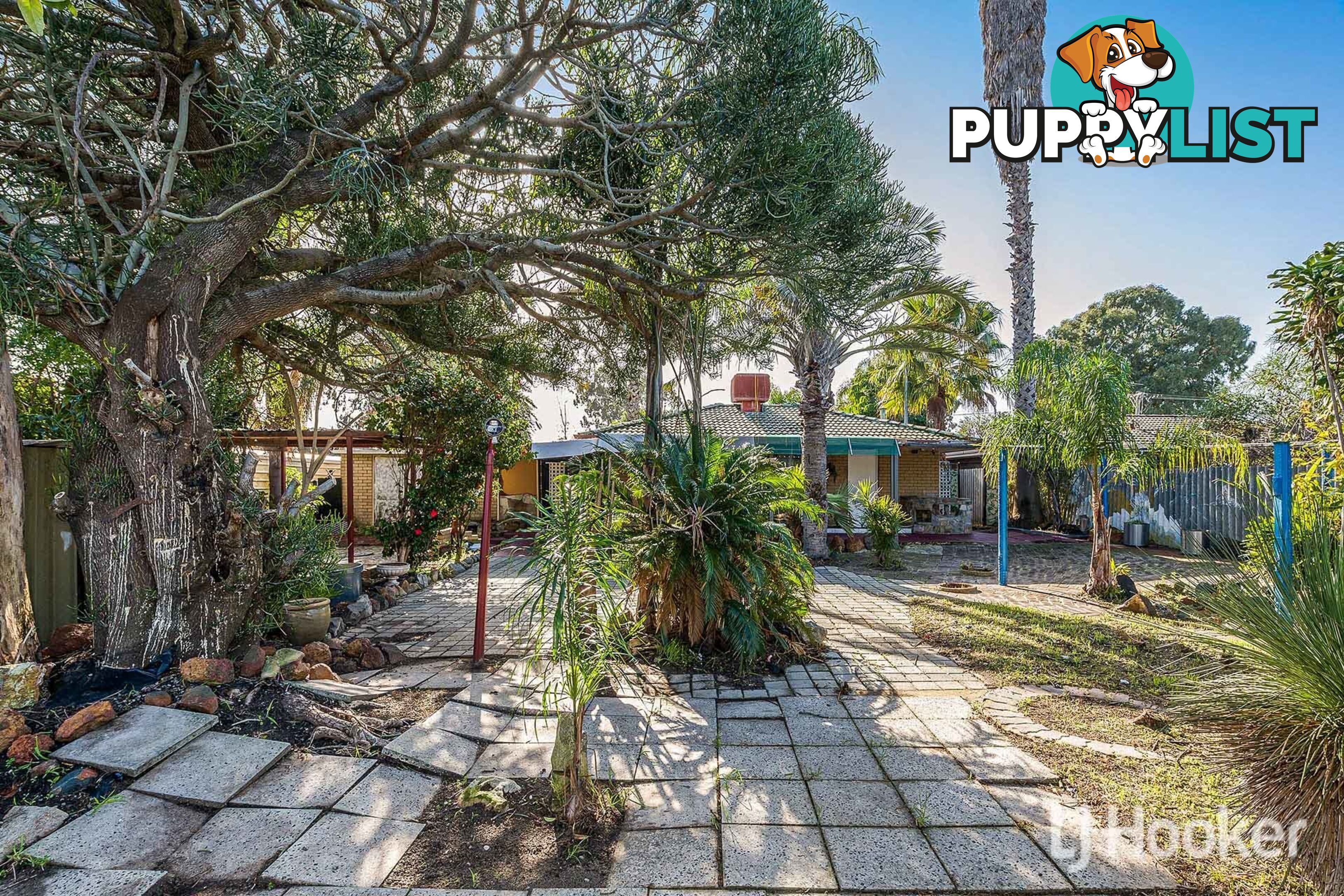 12 Tomlinson Place ARMADALE WA 6112