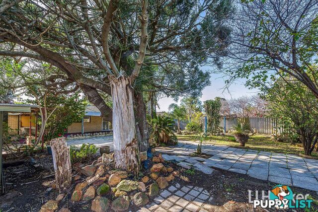 12 Tomlinson Place ARMADALE WA 6112