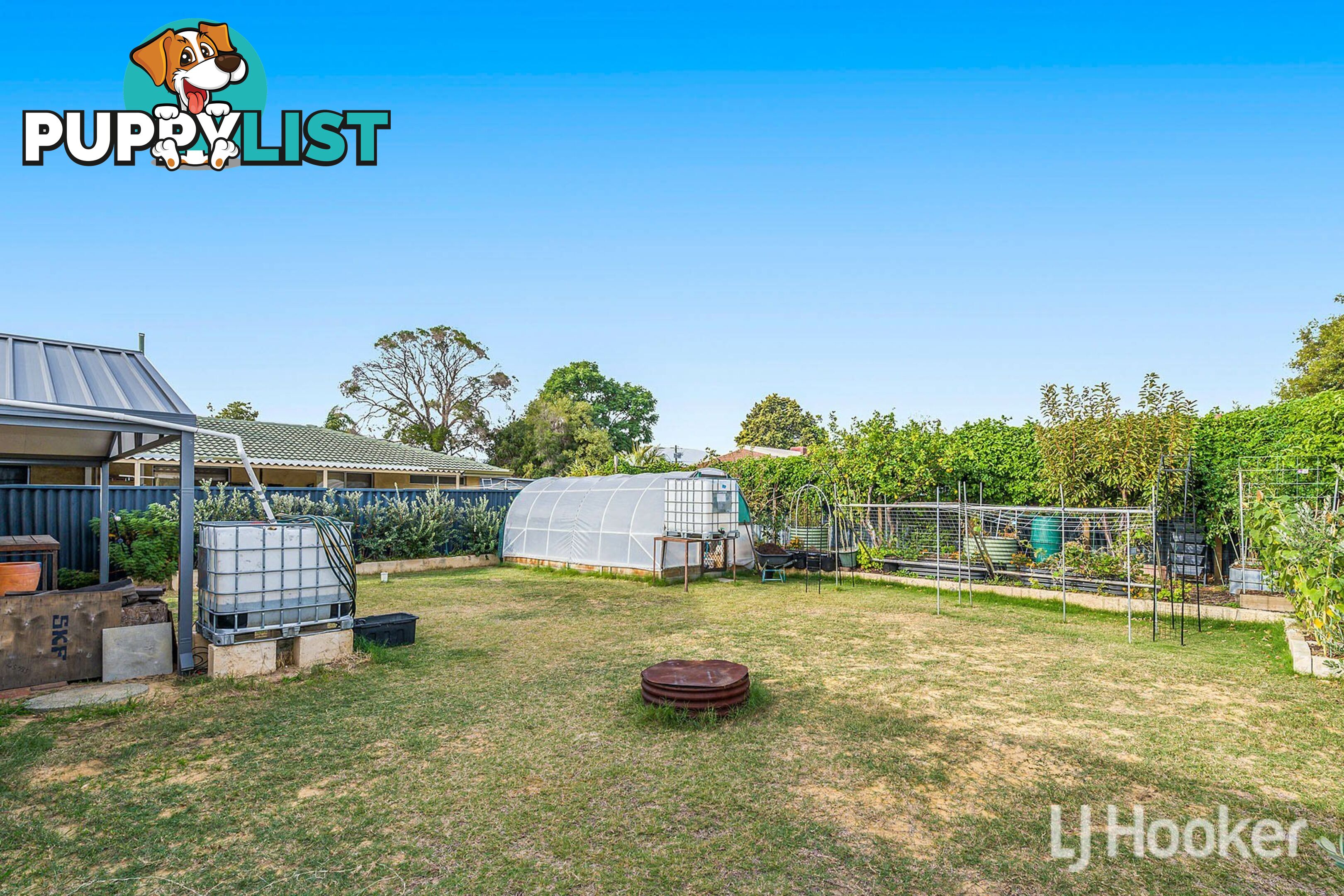 17 Ripplewood Avenue THORNLIE WA 6108