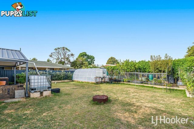 17 Ripplewood Avenue THORNLIE WA 6108