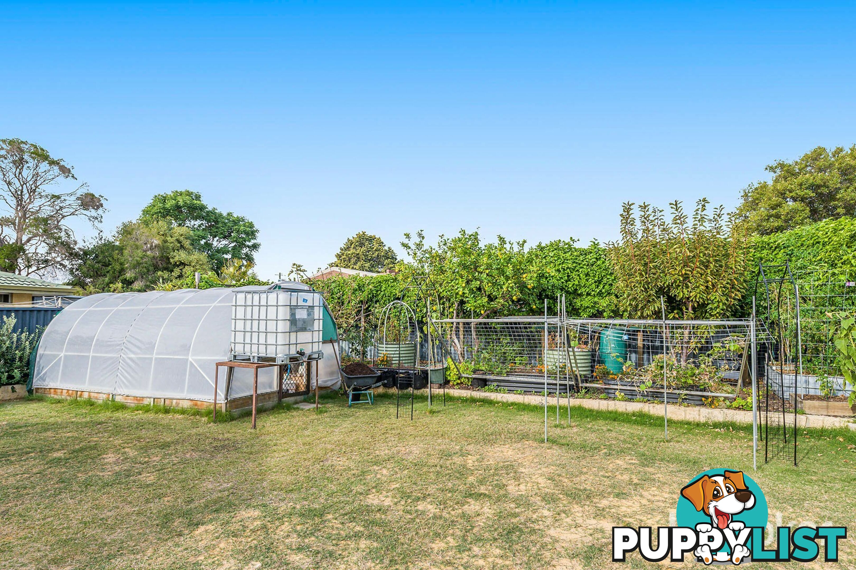17 Ripplewood Avenue THORNLIE WA 6108